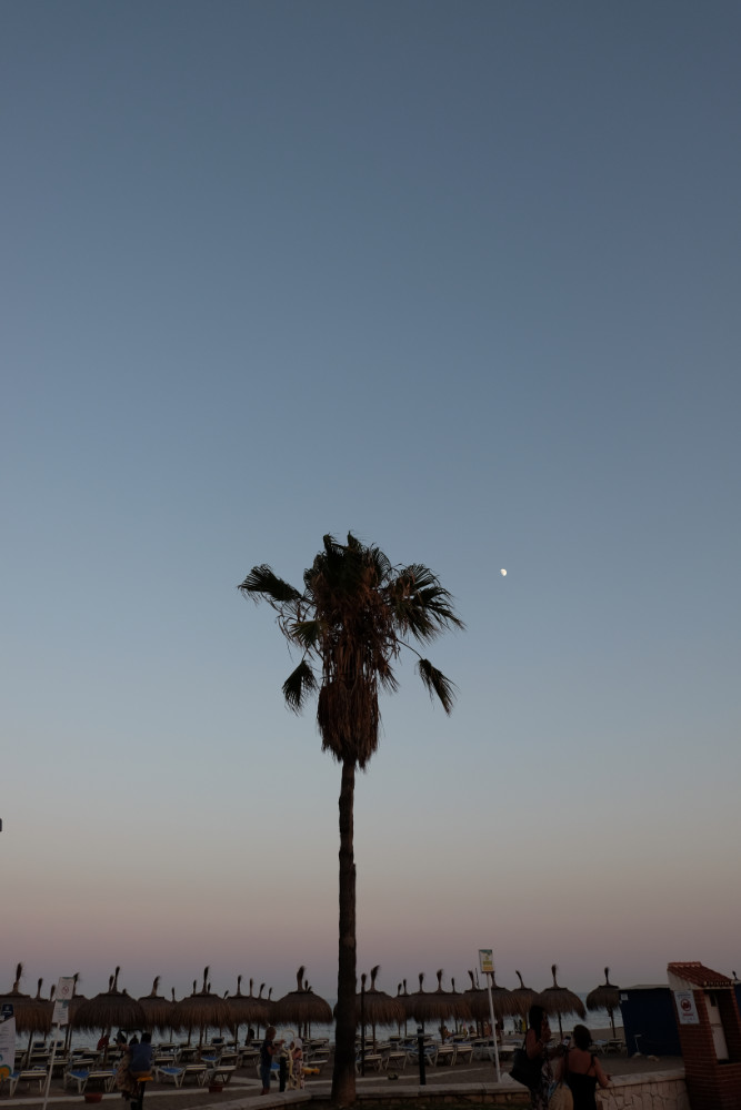 Fuengirola Virgen del Carmen festival in Los Boliches, late evening sky before the celebration with palm tress silhouette