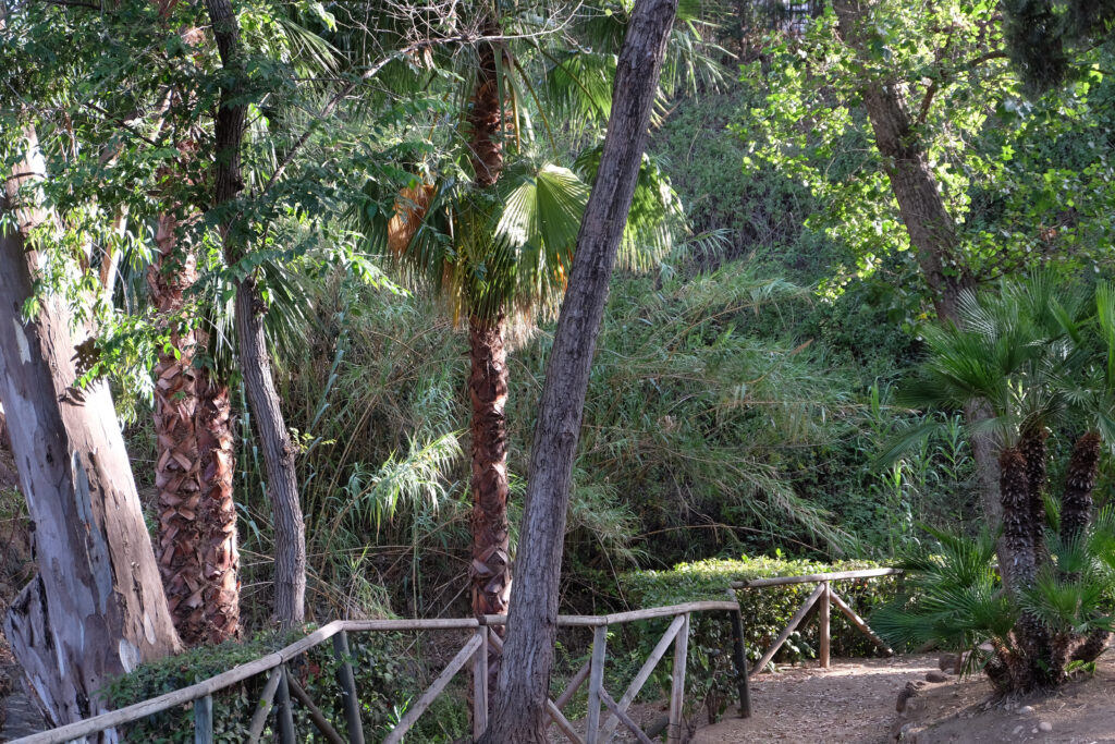 Fuengirola Las Presas Park offers more than 20 species of trees